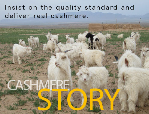 Insist on the quality standard and deliver real cashmere.